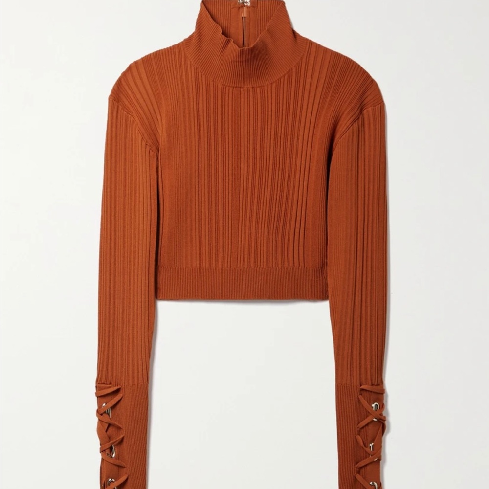 Hervé Leger Cropped Ribbed Turtleneck